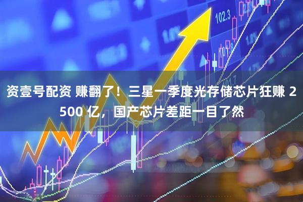资壹号配资 赚翻了！三星一季度光存储芯片狂赚 2500 亿，国产芯片差距一目了然